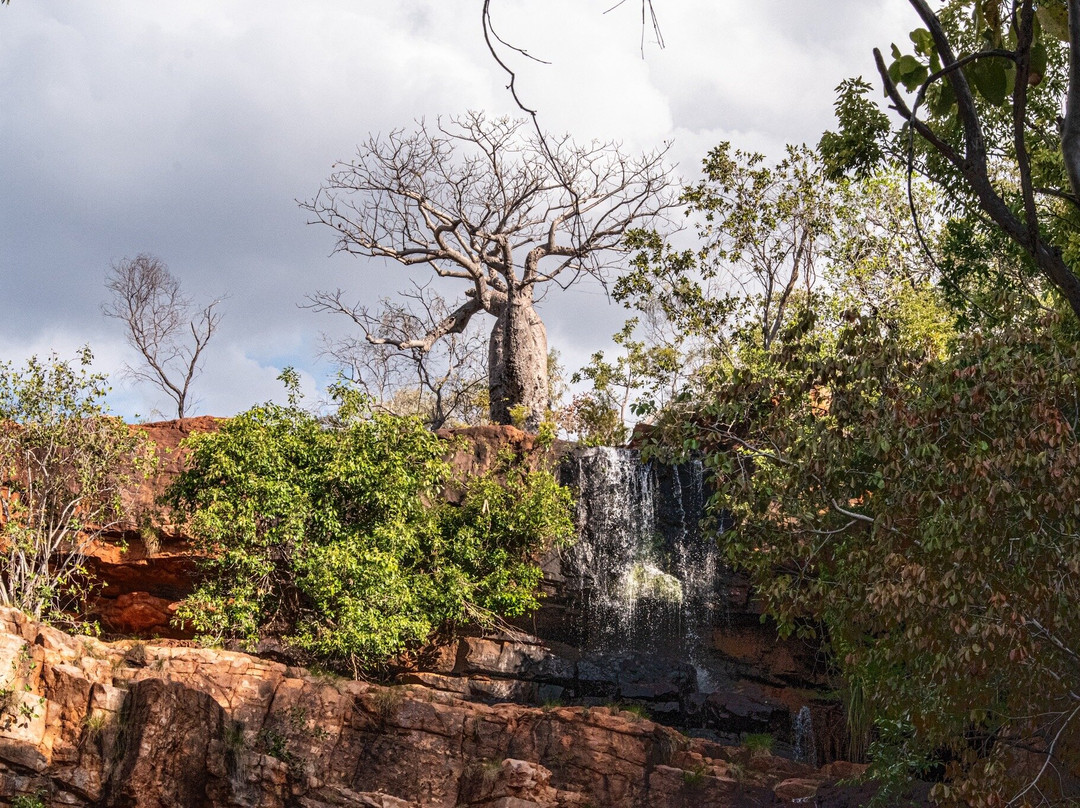 Kimberley Safari Tours-North Perth必去景点