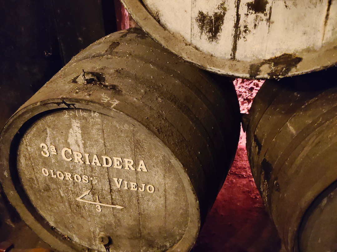 Bodegas Hidalgo La Gitana-Sanlucar de Barrameda必去景点