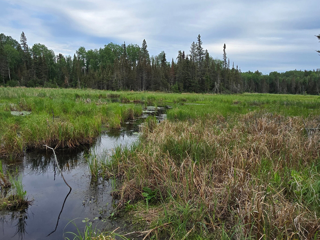 Voyageurs National Park Tours, Rainy Lake Guiding-International Falls必去景点