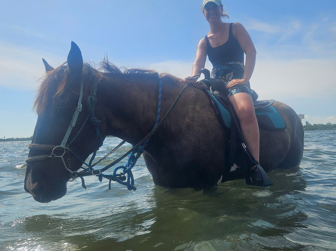 Florida Beach Horses-布雷登顿必去景点
