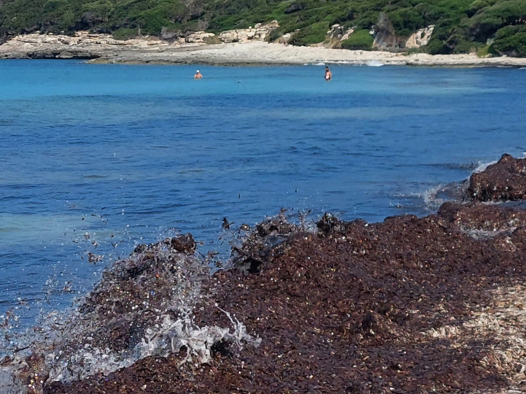 Spiaggia Rena di Ponente-圣特雷莎加卢拉必去景点