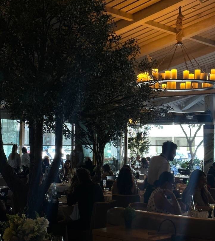 Novikov Beverly Hills