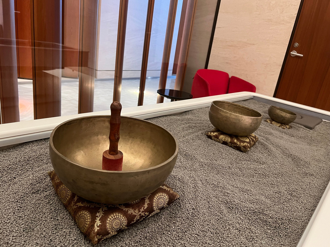 Qatar Airways Al Safwa First Lounge-多哈必去景点