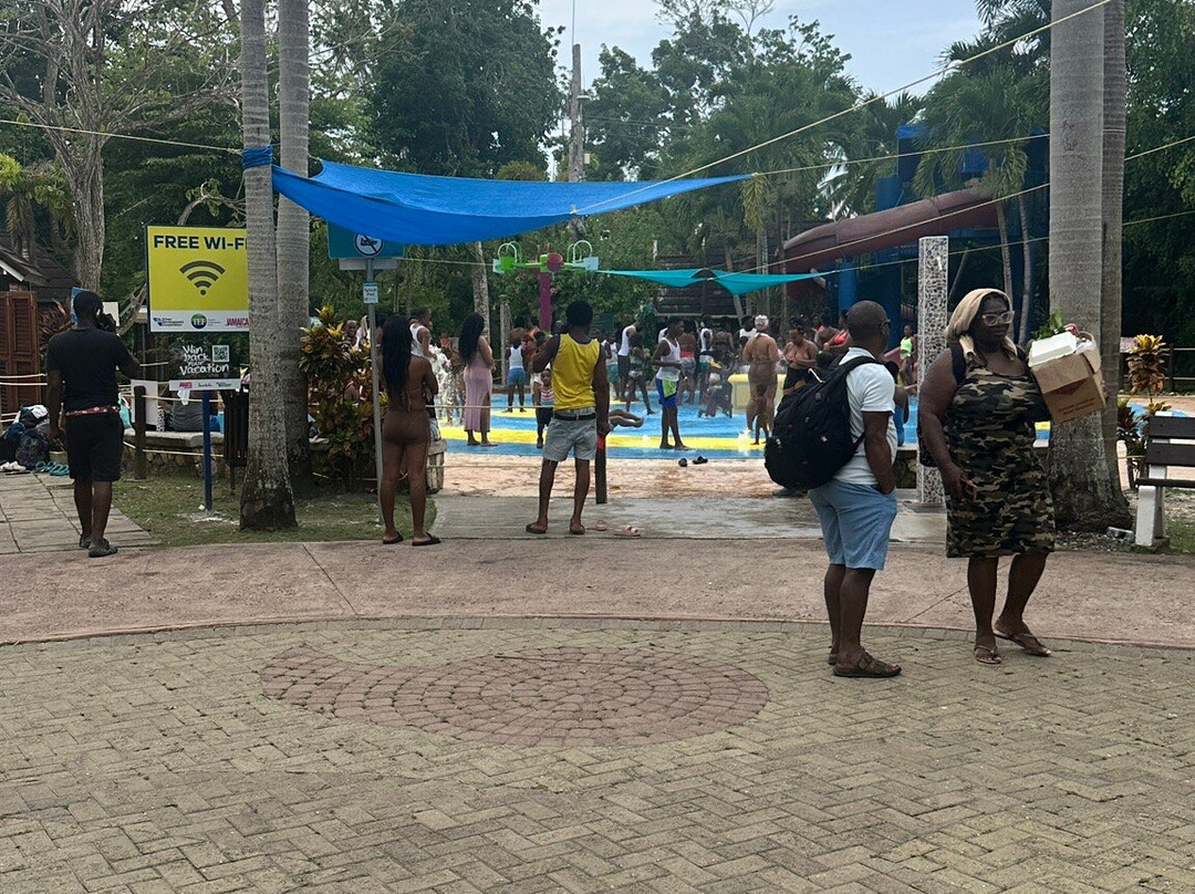 Dunn's River Falls and Park-奥乔里奥斯必去景点