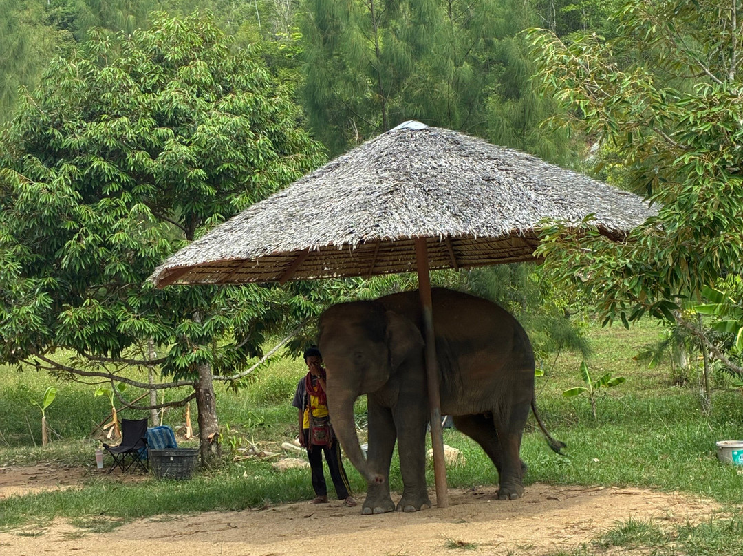 Samui Elephant Spa-苏梅岛必去景点