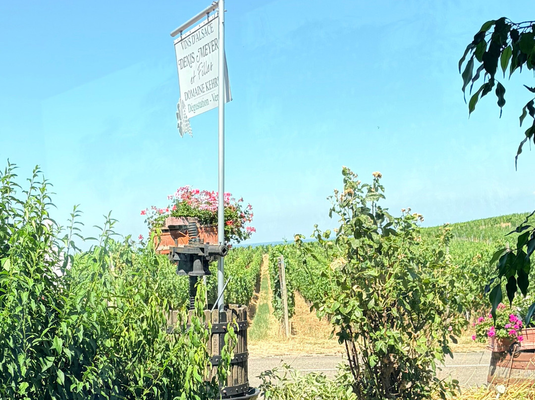 Vins Denis Meyer Et Filles