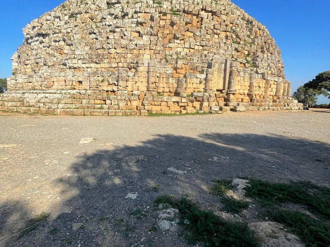 CopyFly Algeria – Cultural & Adventure Tours-Alger Centre必去景点