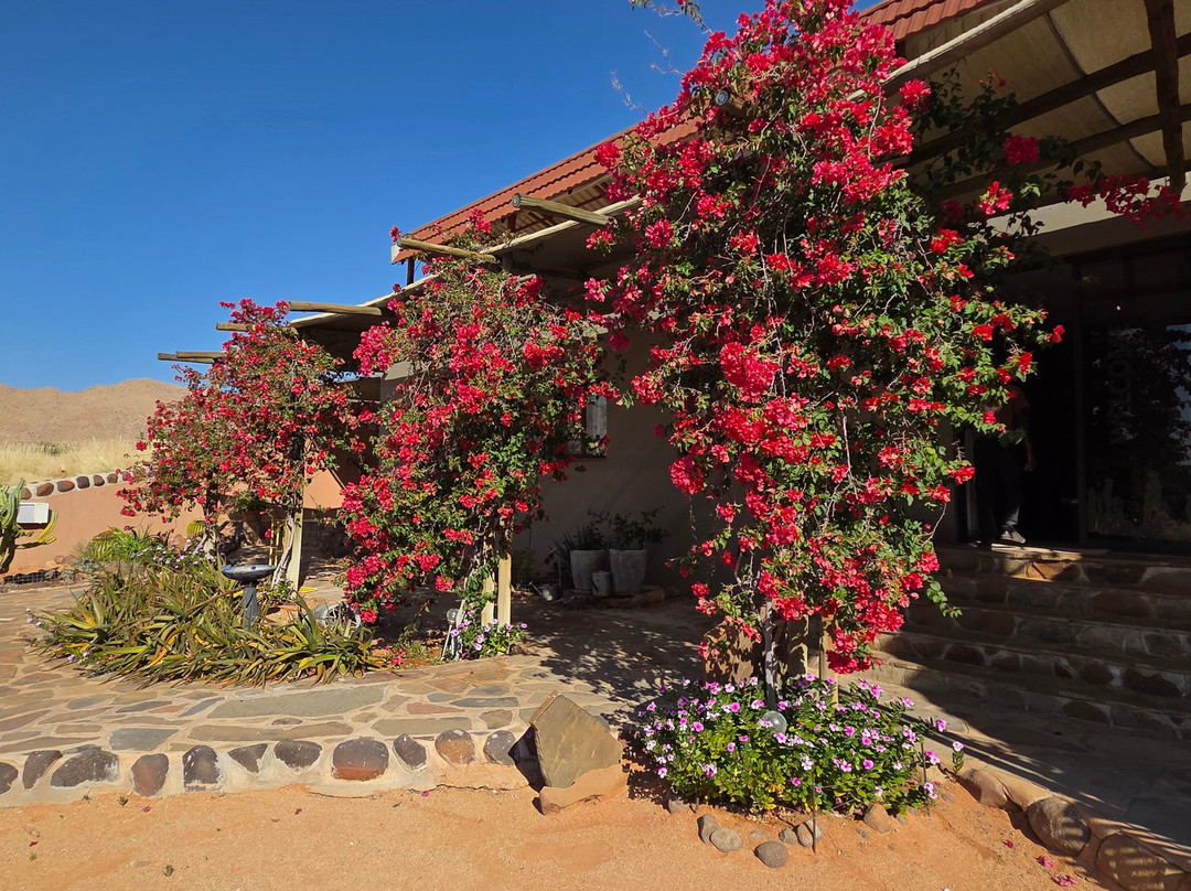Barkhan Dune Retreat主图