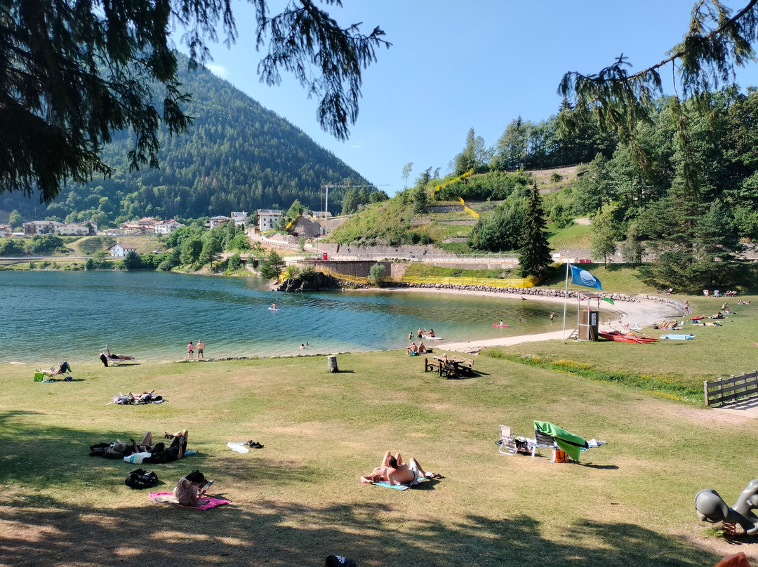 Active Hotel Pineta & Camping主图