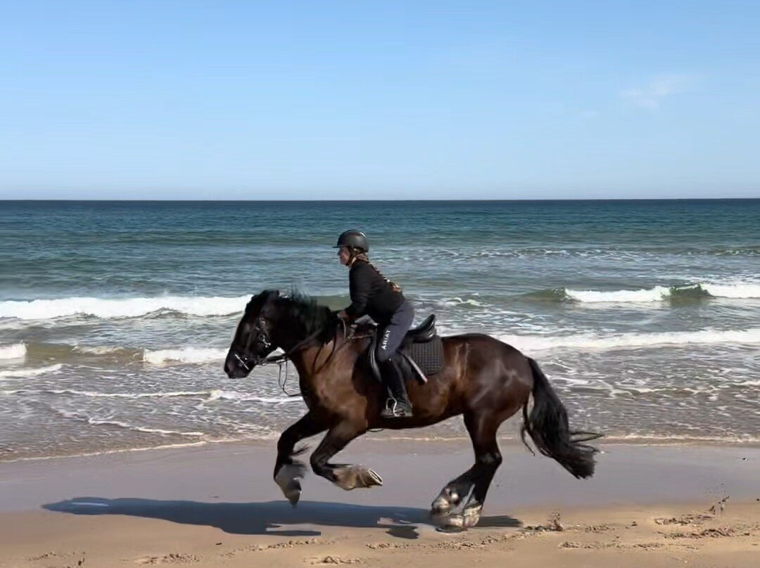 Bespoke Equestrian Ireland-都柏林必去景点