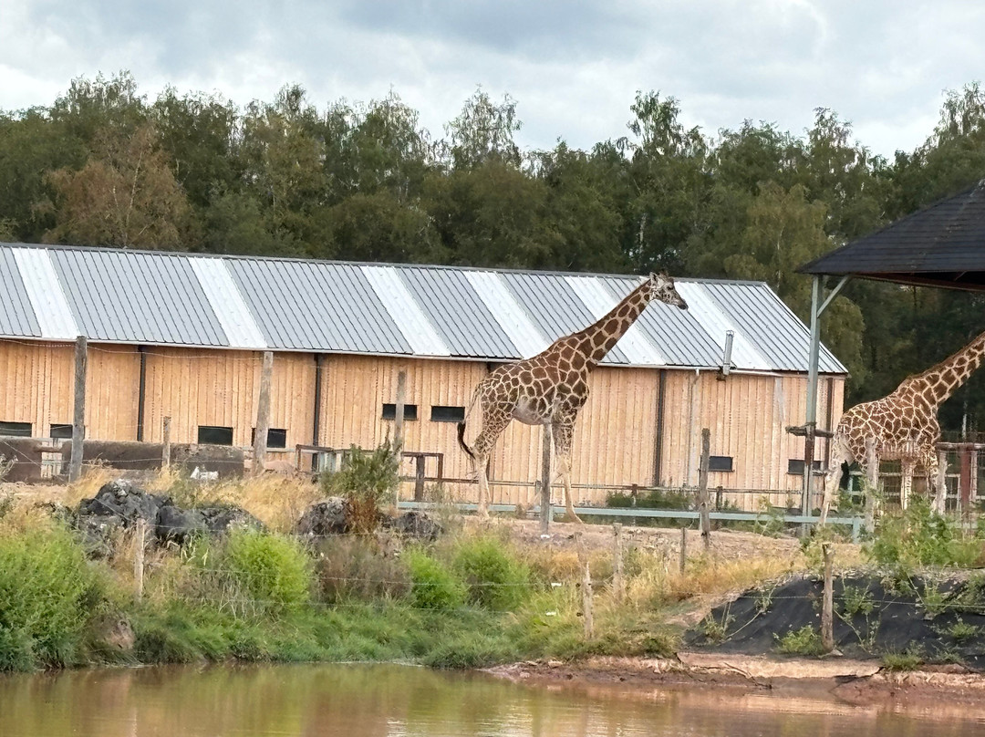 Le Monde Sauvage Safari Parc-艾瓦耶必去景点