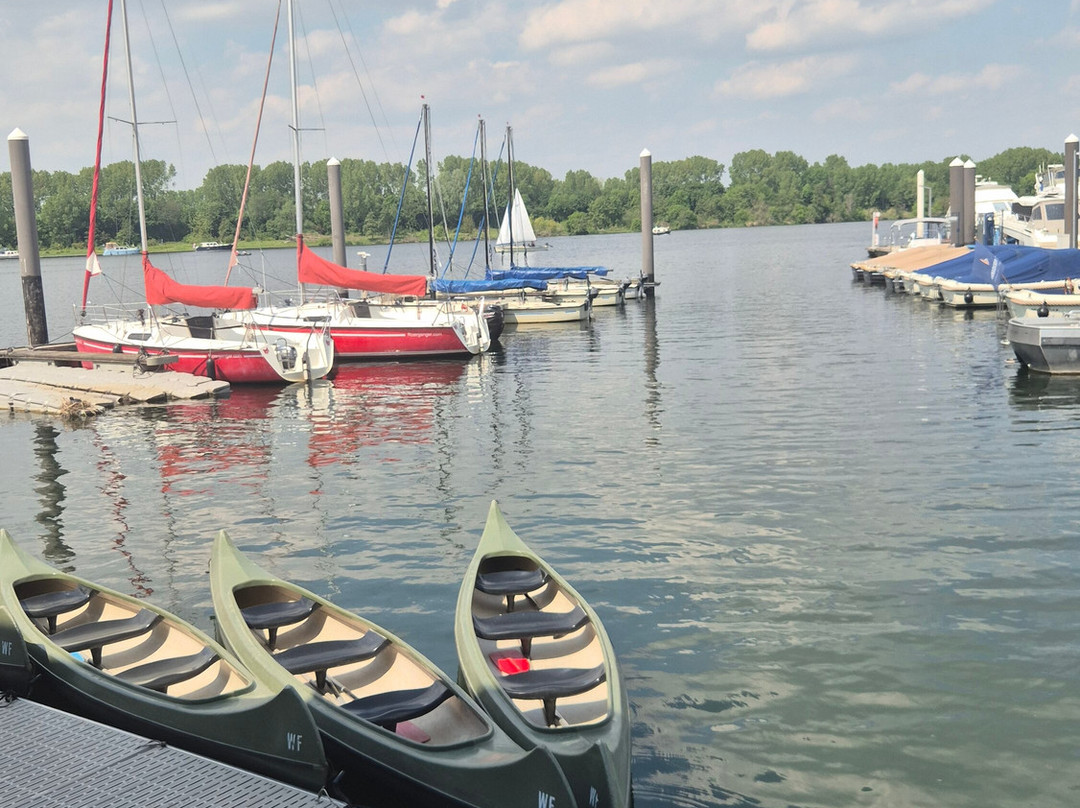 Watersportschool Frissen-鲁尔蒙德必去景点
