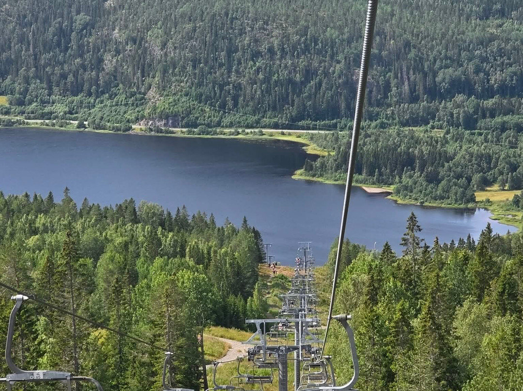 Skulebergets linbana-Docksta必去景点