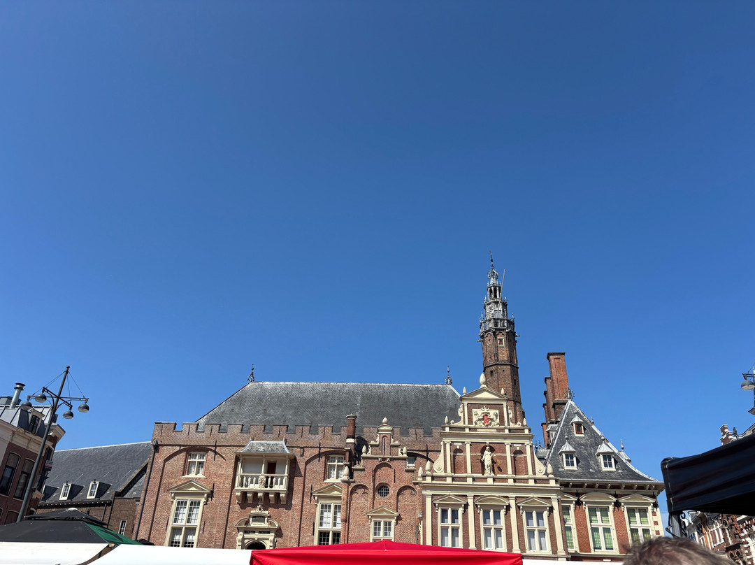 Zaterdagmarkt Haarlem-哈勒姆必去景点