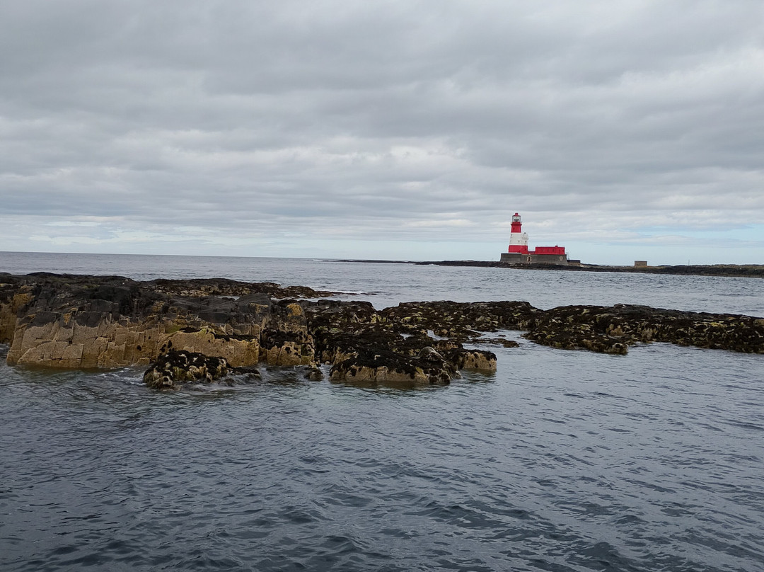 Serenity Farne Island Boat Tours-Seahouses必去景点