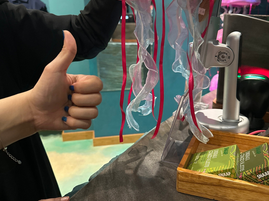 SeaWorld Yas Island Abu Dhabi-阿布扎比必去景点