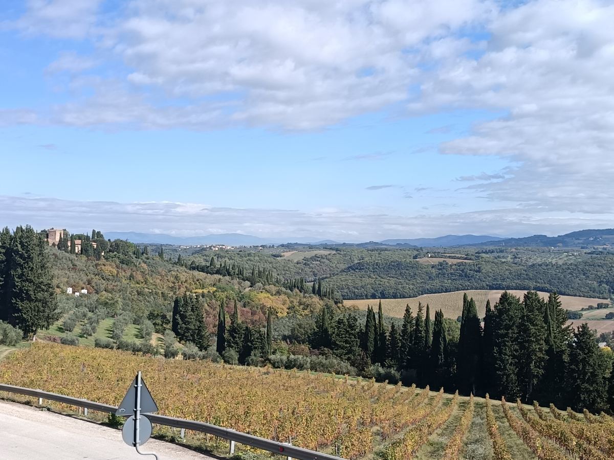 Villa Moris Bed and Breakfast-旅行者
