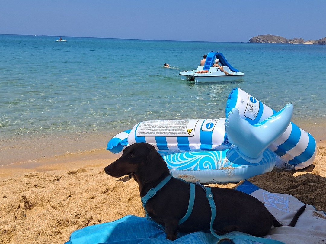 Pistis Beach-阿尔布斯必去景点