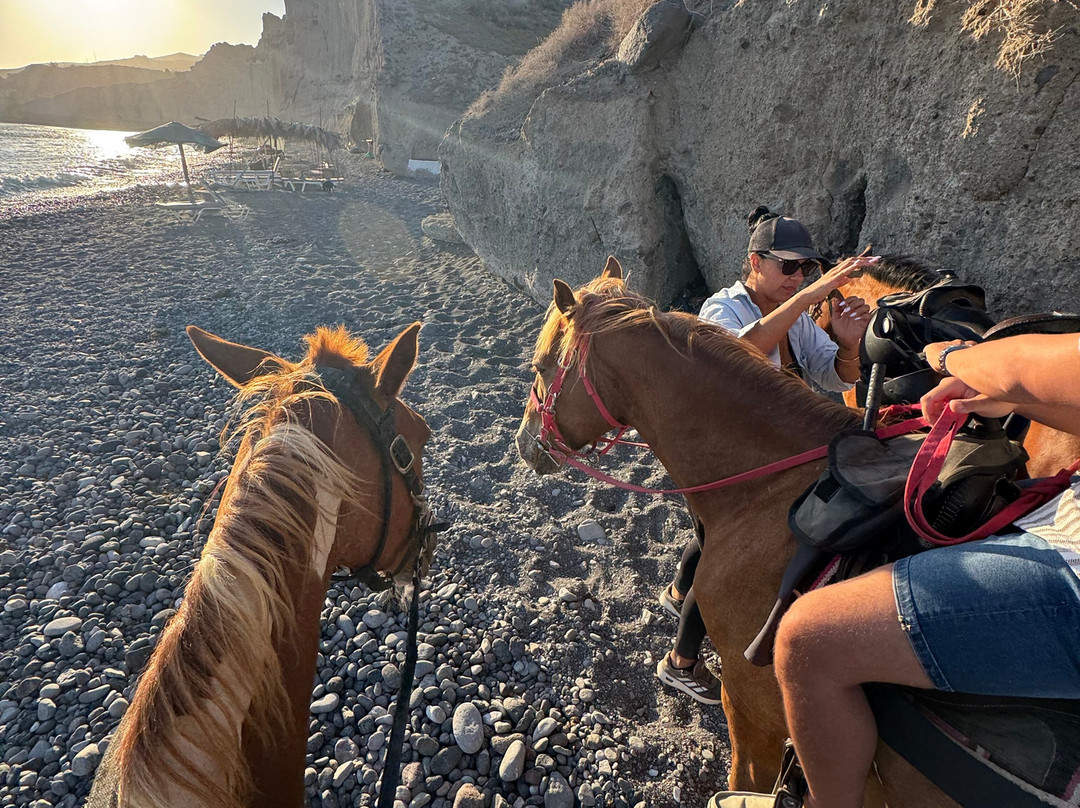 Experience Horse Riding-阿克罗蒂里必去景点