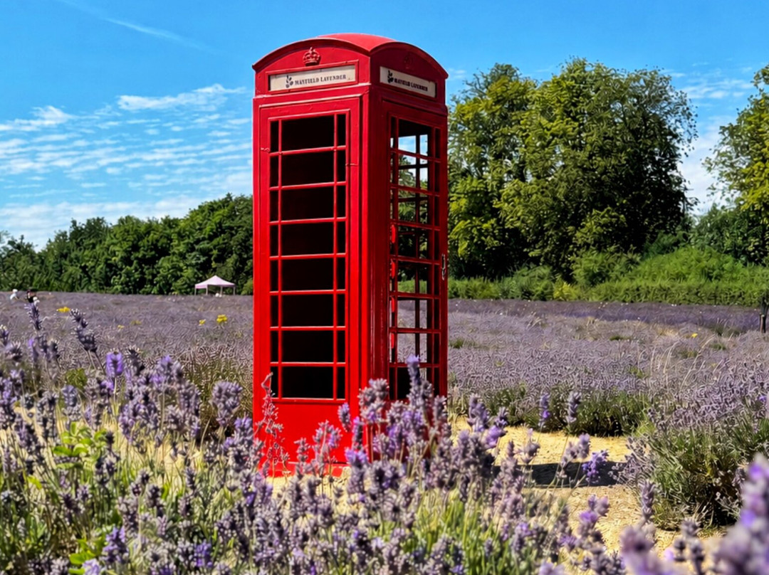 Mayfield Lavender Farm-Banstead必去景点