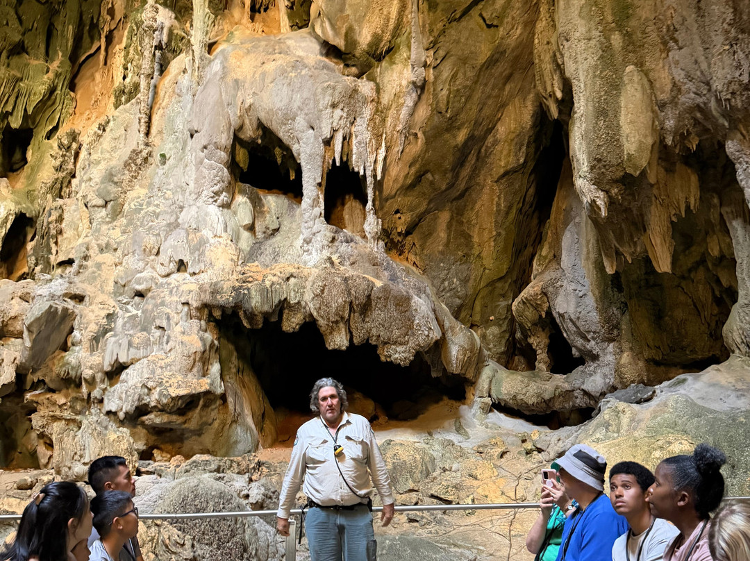 Sightseeing Tours Australia-墨尔本必去景点