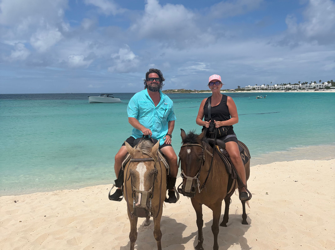 Seaside Stables Anguilla-West End Village必去景点
