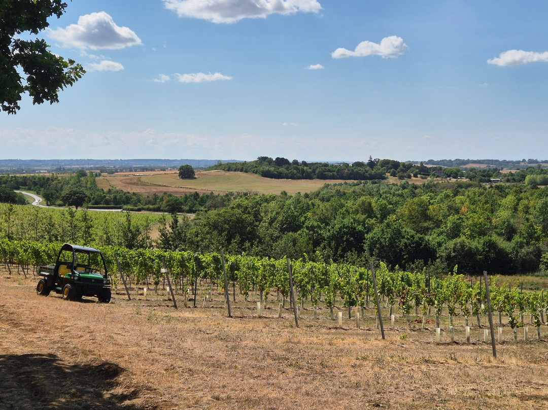 Missing Gate Vineyard-Woodham Ferrers必去景点