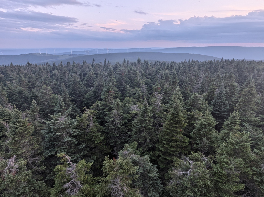 Safari gourmand en côte à côte: Éoliennes & Dégustations locales-Saint-Philemon必去景点