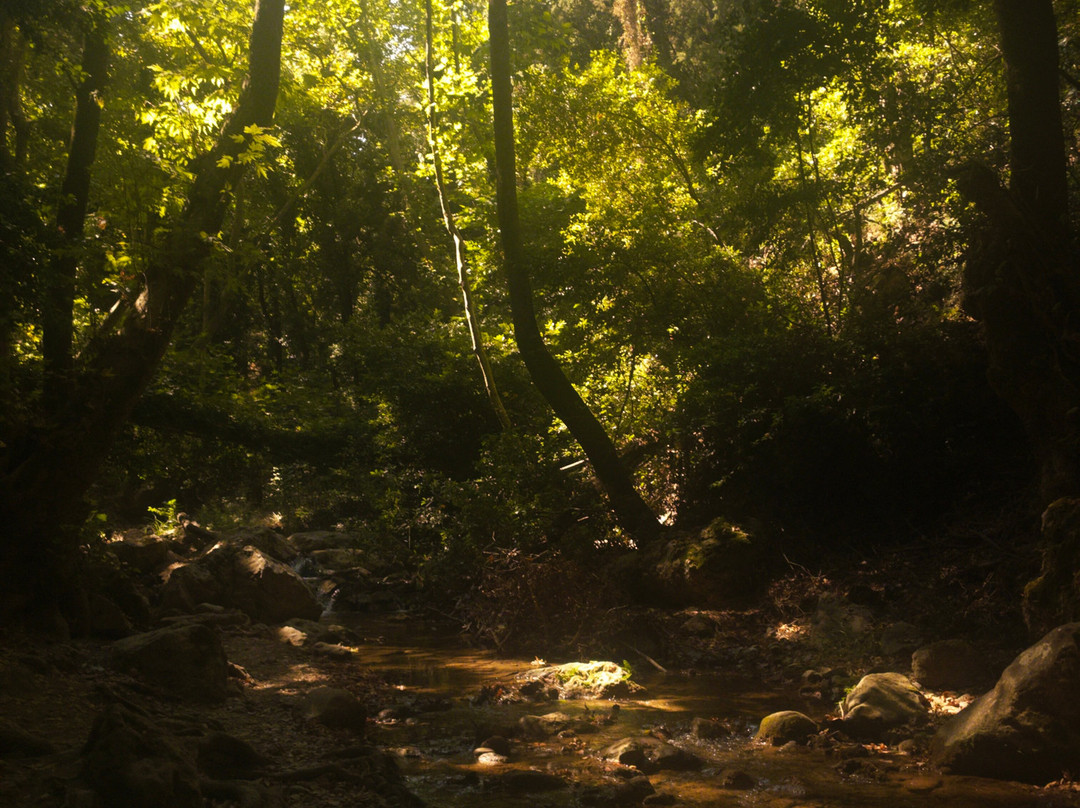 Potami Waterfalls-Karlovasi必去景点