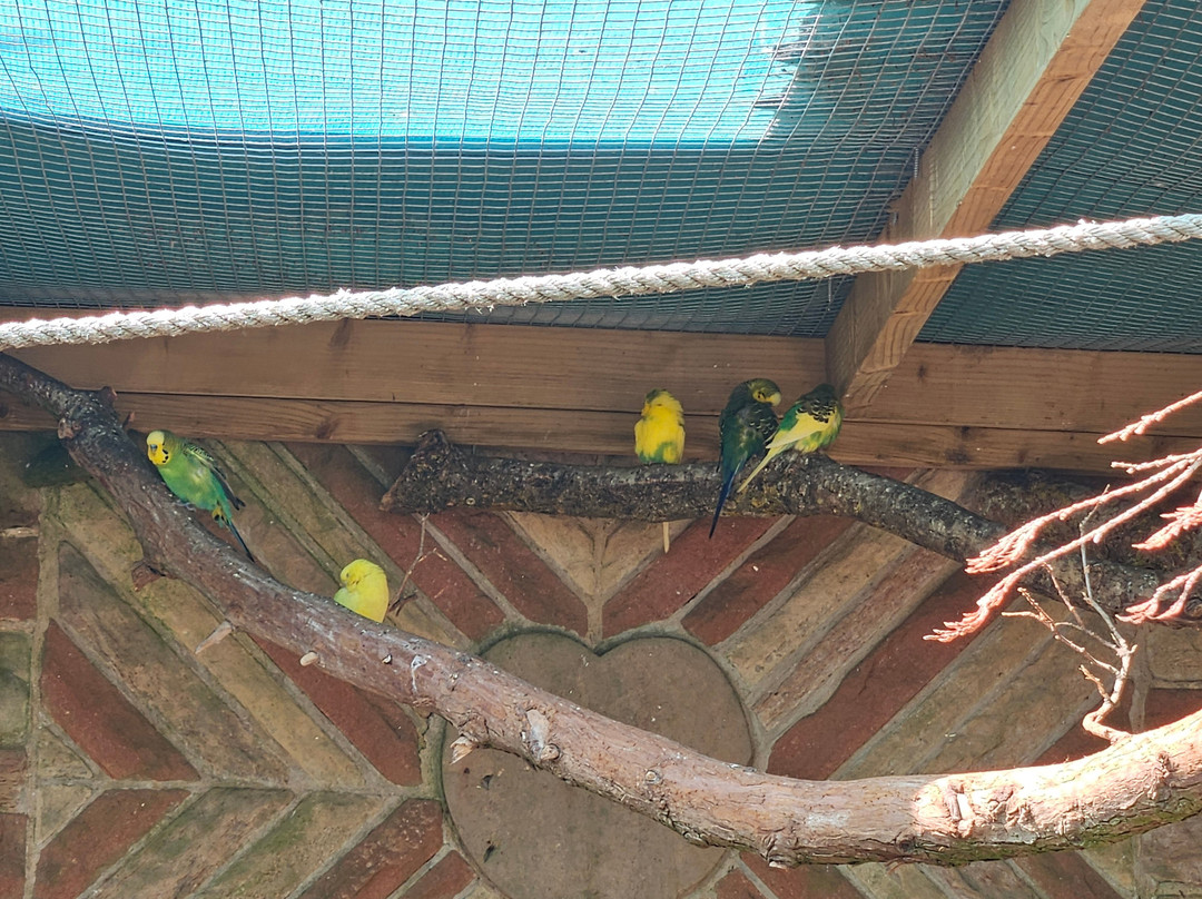 Andy Howeys Birds of Prey Centre-特威德河畔贝里克必去景点