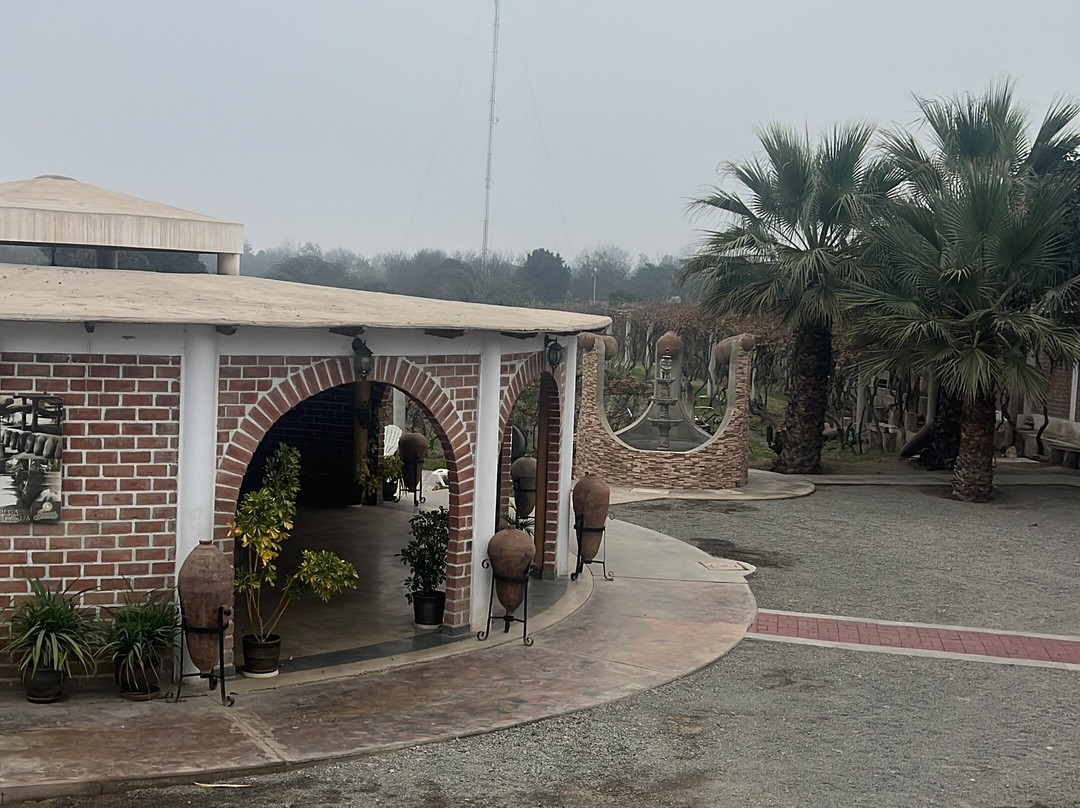 Bodega Y Viñedo Sotelo-伊卡必去景点