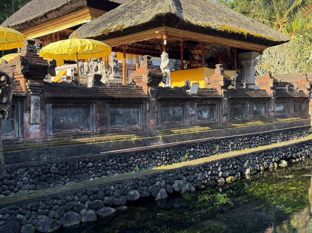 Bali Unique Driver-巴厘岛必去景点