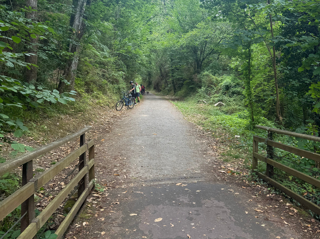 Senda Del Oso Experience - Teverastur-Teverga Municipality必去景点