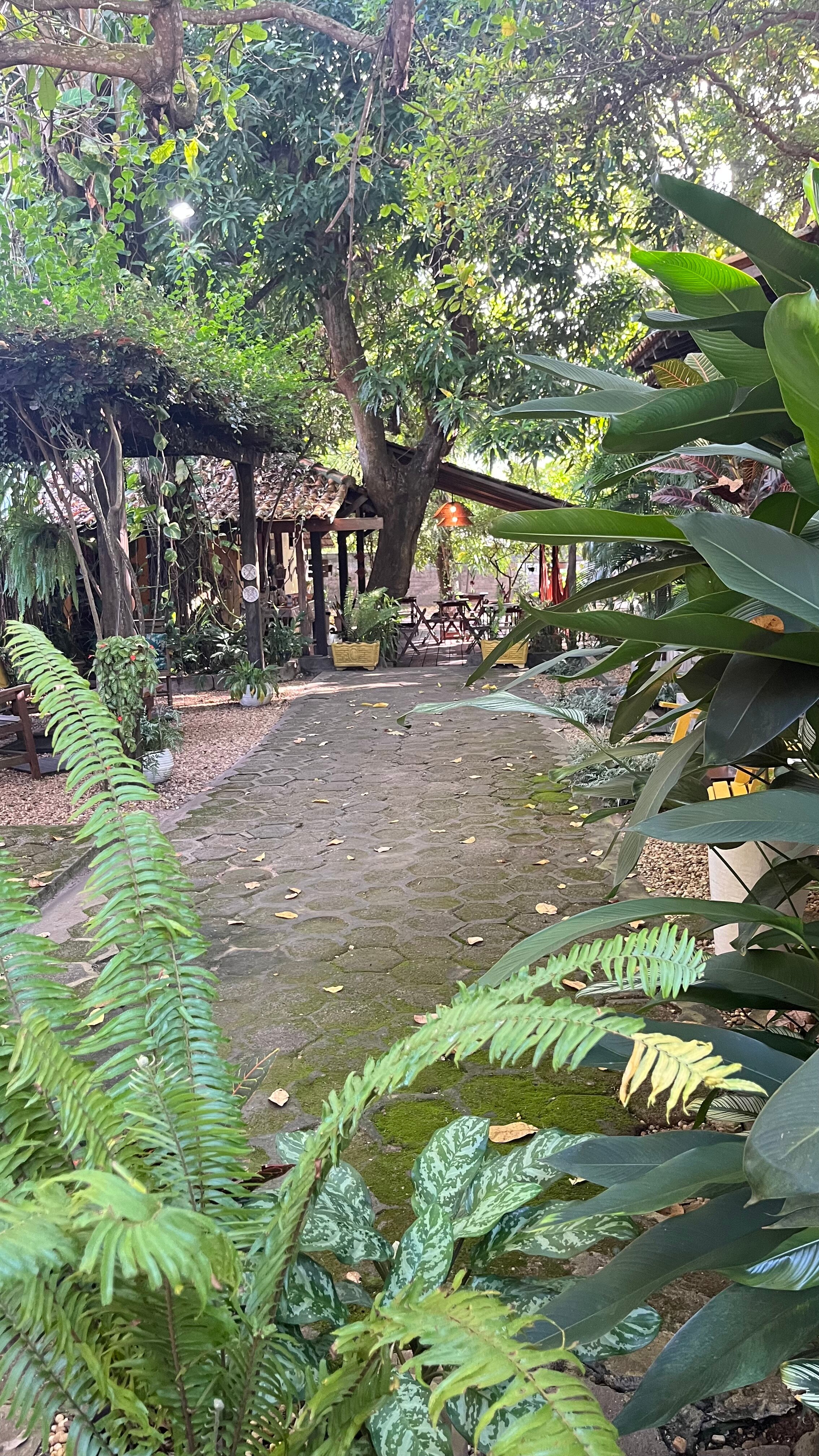 Pousada Sombra do Cajueiro-旅行者