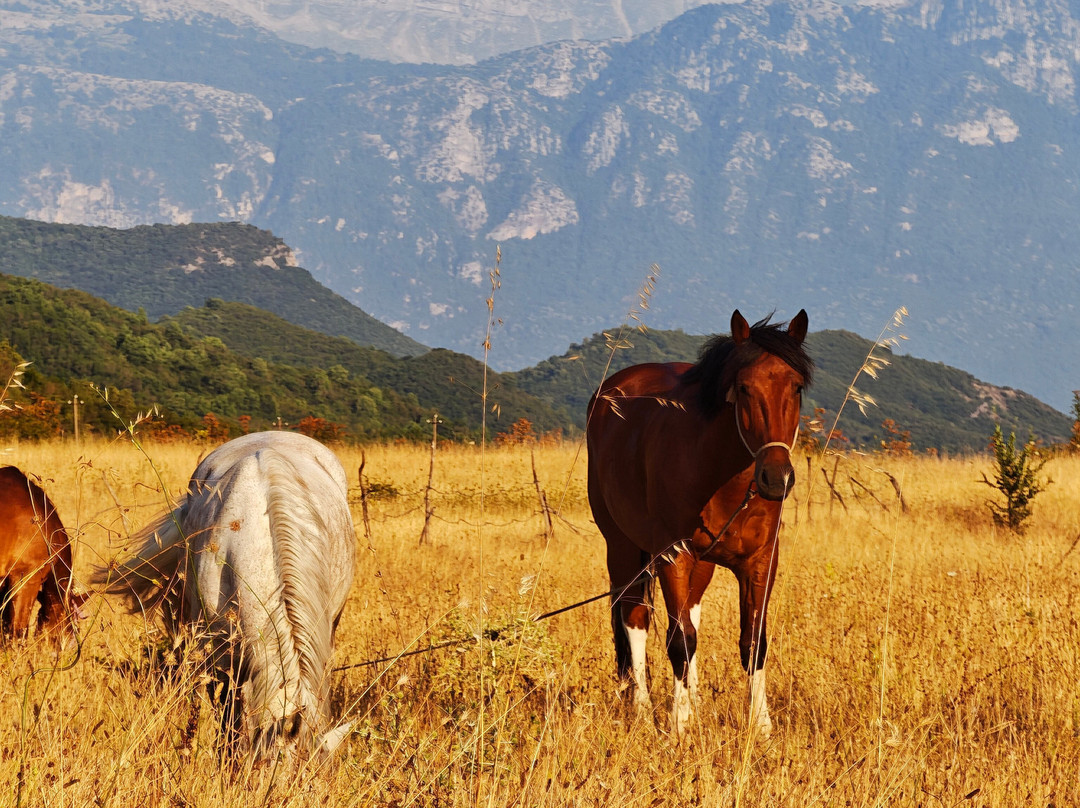 Horse Riding Albania-Leskovik必去景点