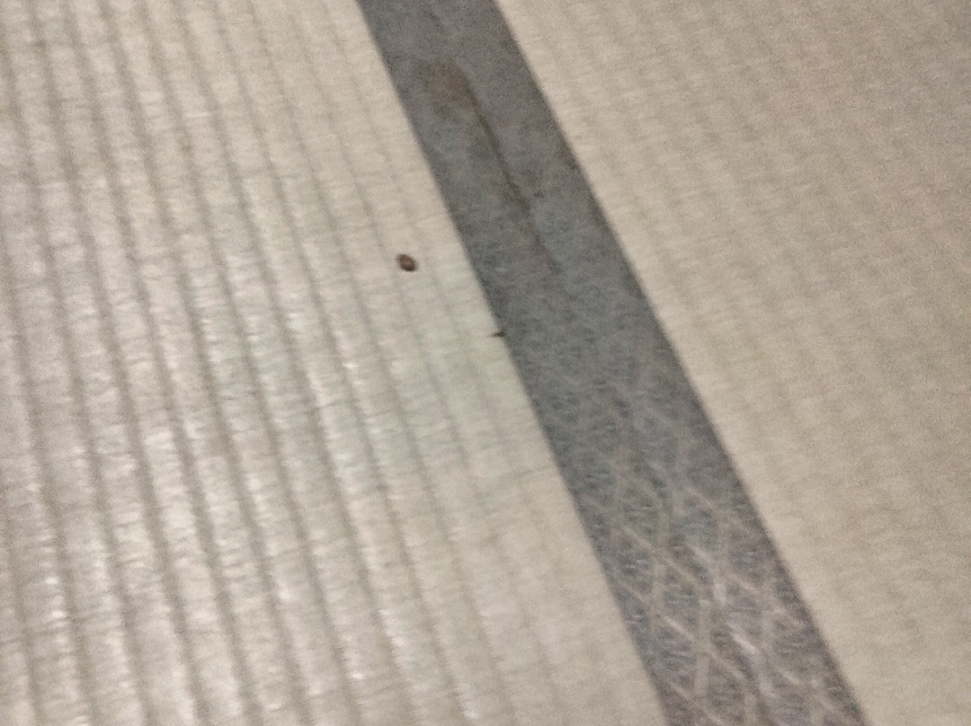大多喜度假酒店主图