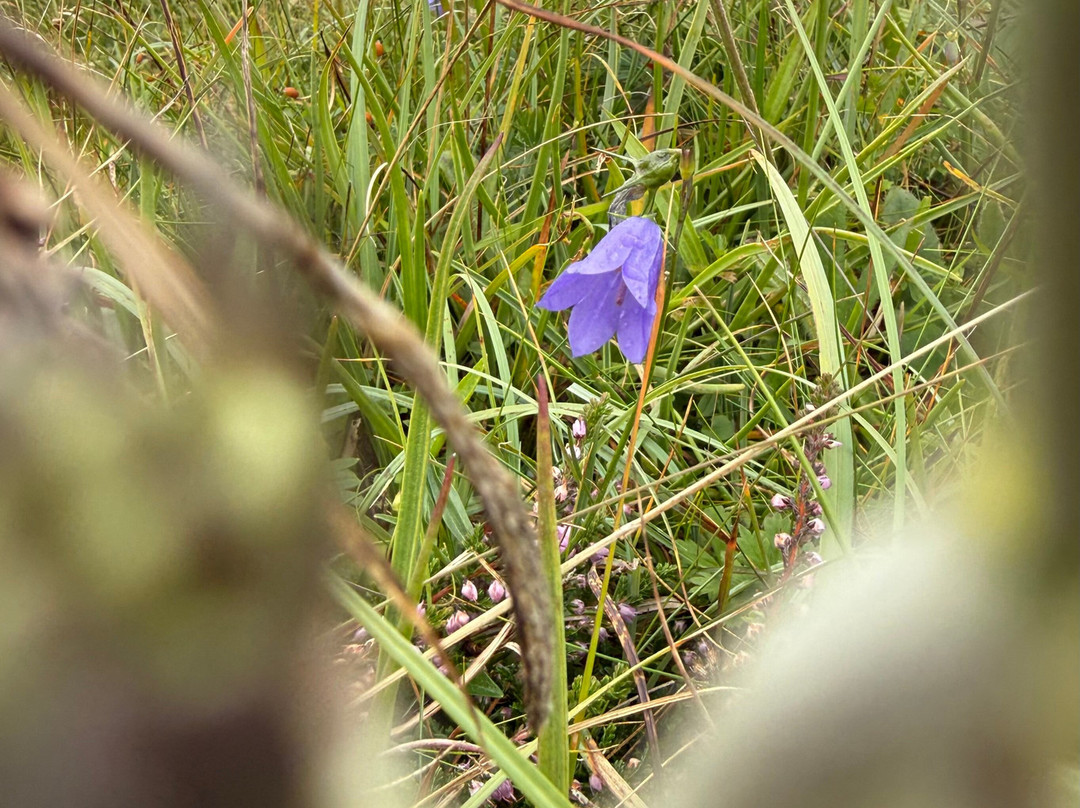 Heart of Burren Walks-Carran必去景点