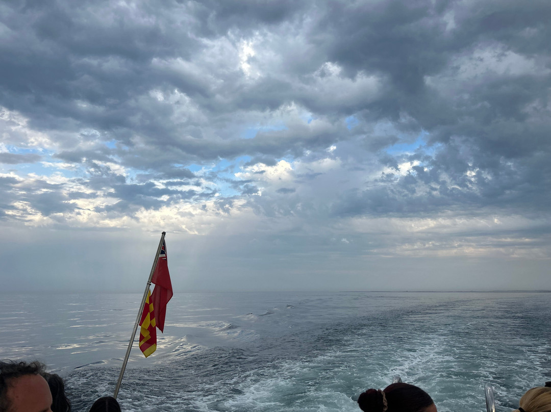 Berwick Boat Trips-特威德河畔贝里克必去景点