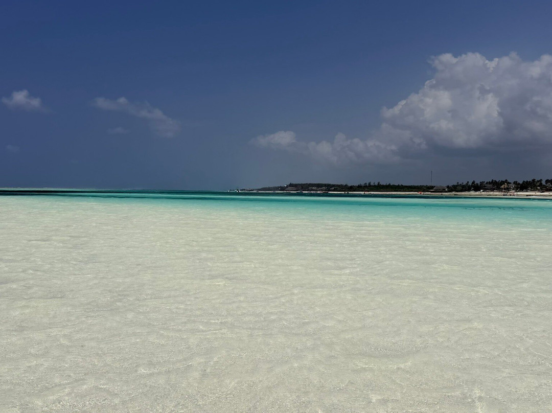 Best Zanzibar Snorkeling tours-桑给巴尔市必去景点