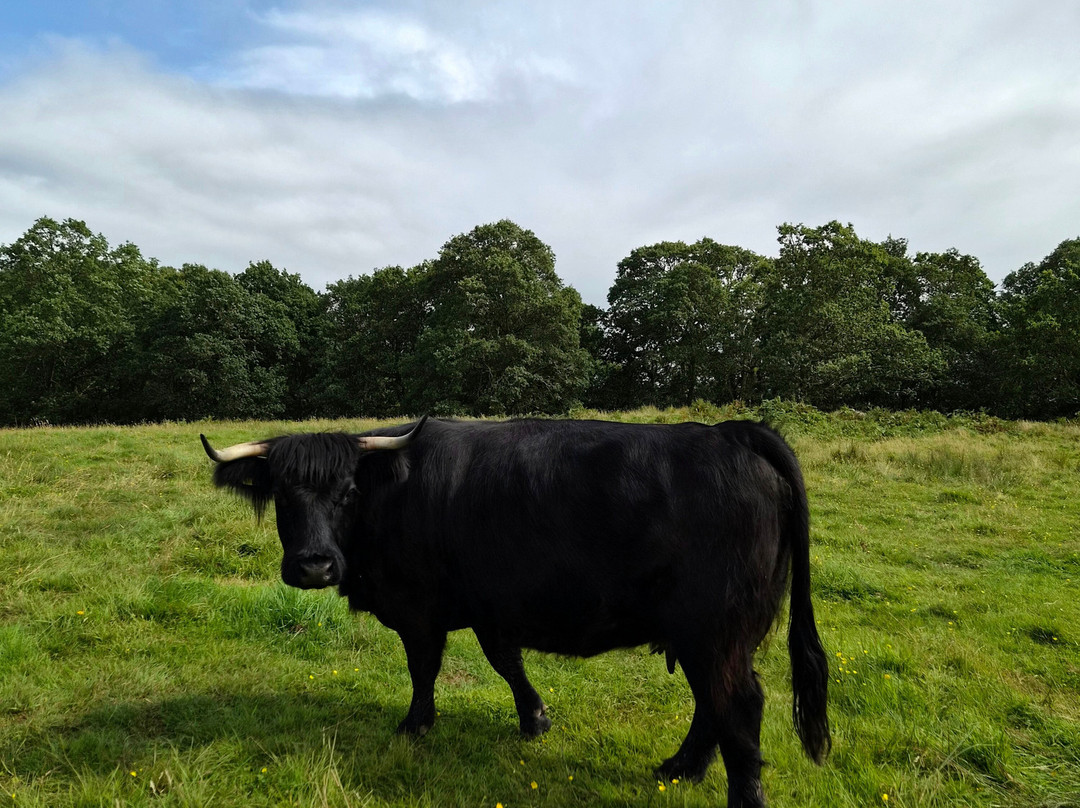 Nether Glenny Farm - Coos and Views-斯特灵必去景点