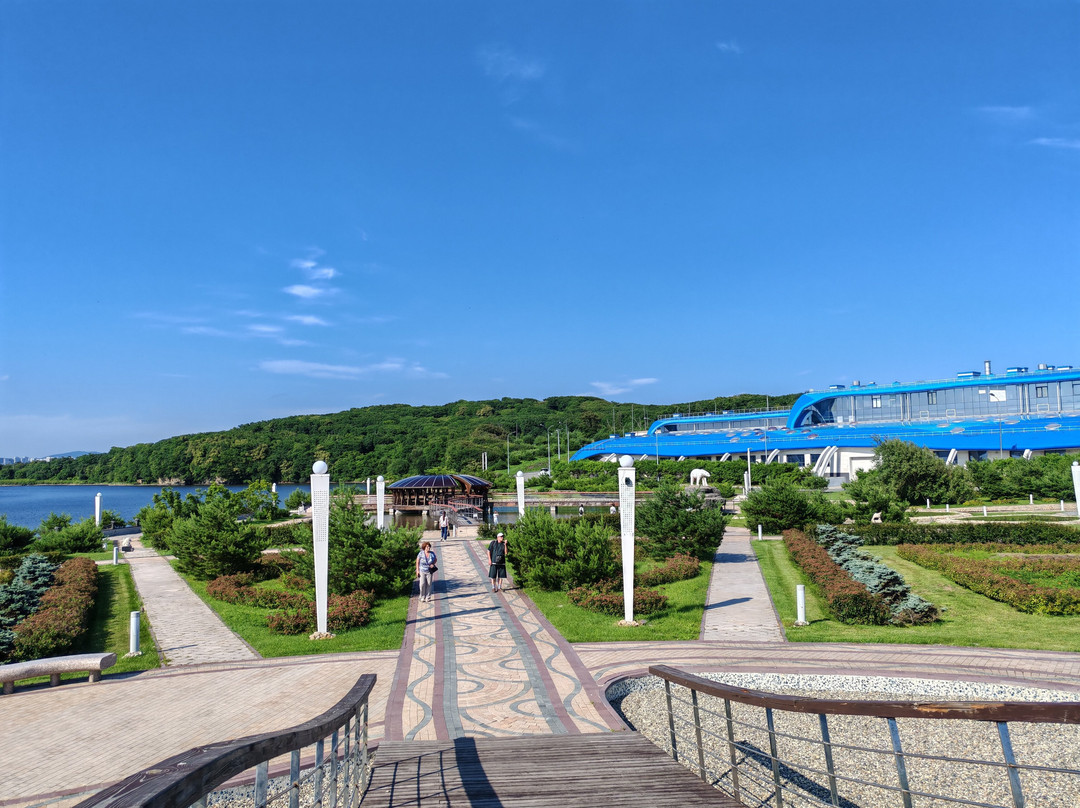 Oceanarium Akvamir-海参崴必去景点