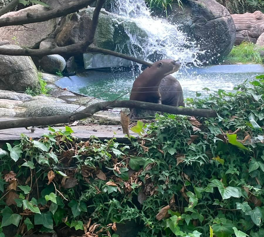 Parc Animalier Des Pyrénées-Ayzac-Ost必去景点