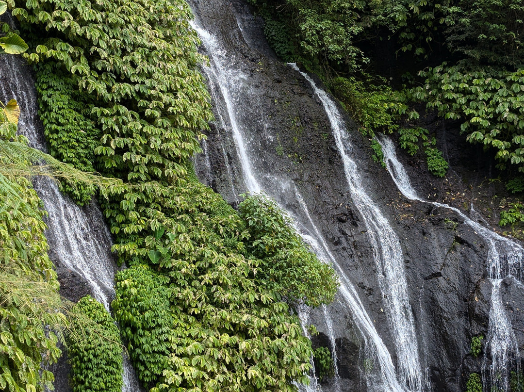 Bali Life Tours-乌布必去景点