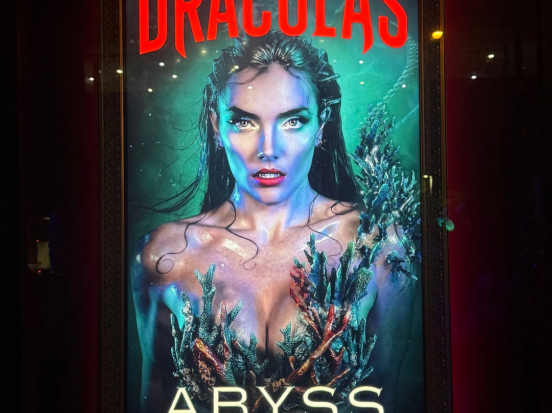 Dracula's-布罗德海滩必去景点