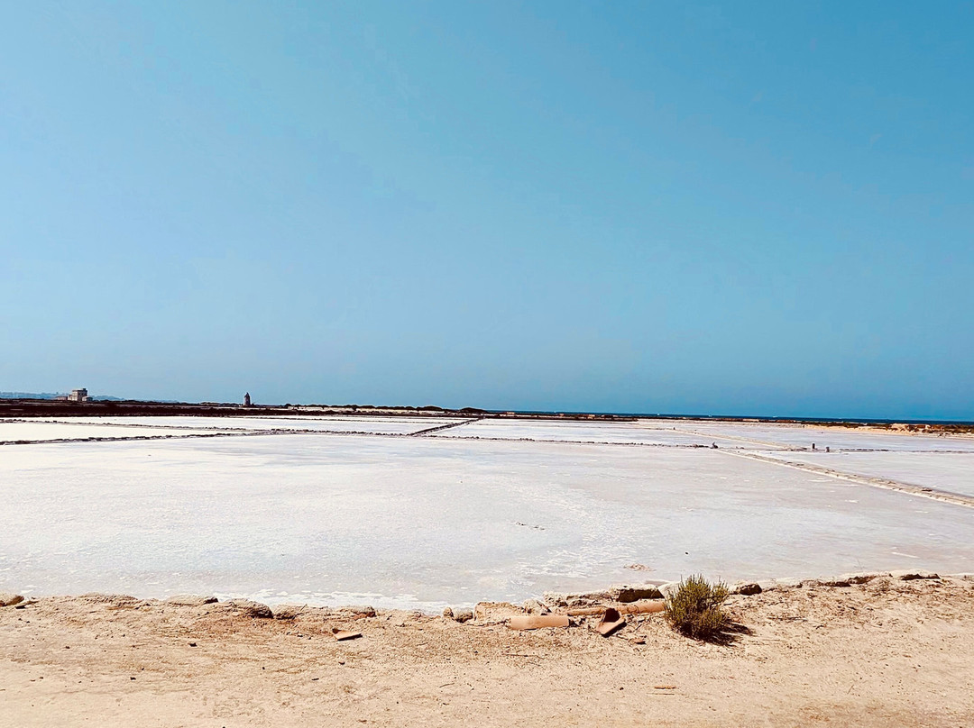 Saline of the Laguna Marsala-马尔萨拉必去景点