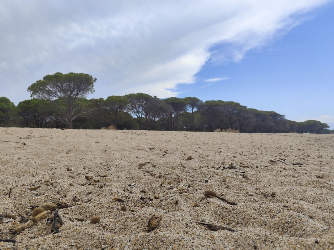 Spiaggia di Su Barone-奥罗塞必去景点