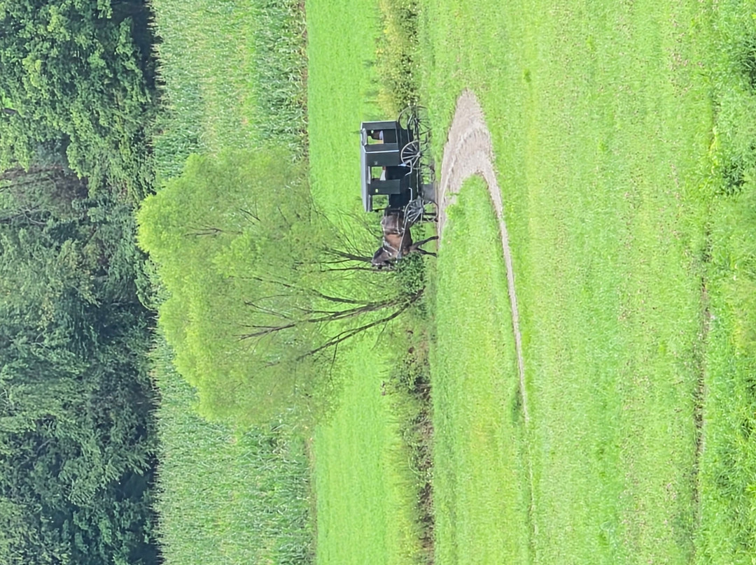 Yoder's Amish Home-Millersburg必去景点