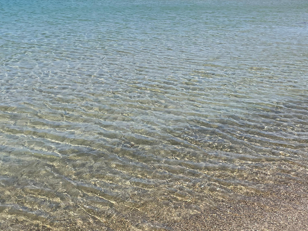 Spiaggia di Torre San Gennaro-Torchiarolo必去景点