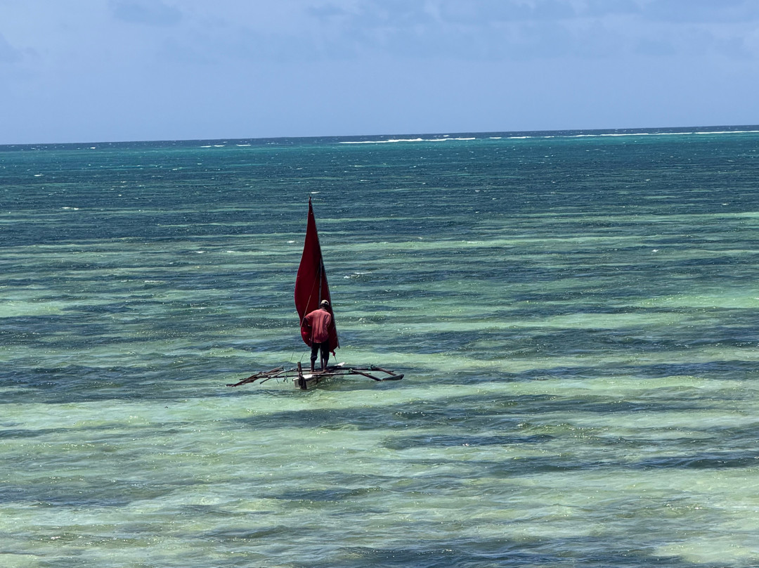 The Island - Pongwe Lodge主图