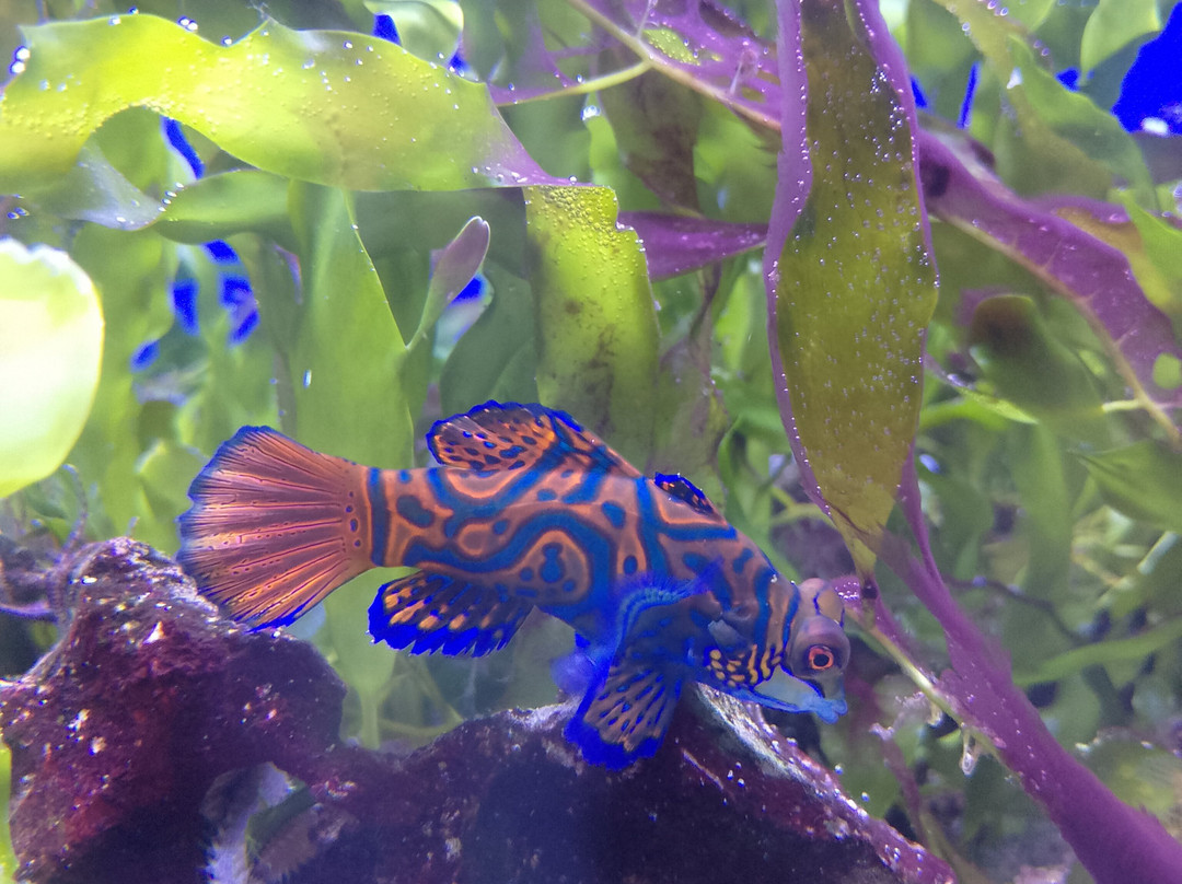 Sea Life Scarborough-斯卡伯勒必去景点
